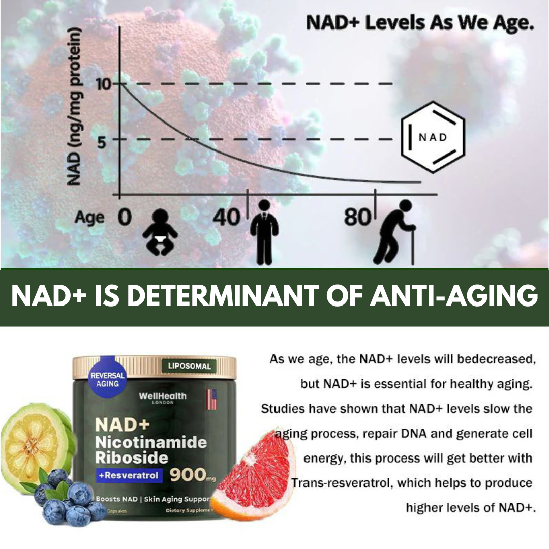 WellHealth® NAD+ High Purity Anti-Aging